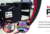 In UV DTF – In PET ép vải giá rẻ TPHCM | In logo quà tặng, áo lớp, áo sự kiện