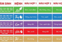 LỰA CHỌN CHẤT LIỆU IN QUẢNG CÁO ĐỂ MÀU SẮC NỔI BẬT VÀ SẮC NÉT